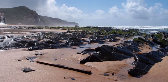 Driftwood on the beach in Portugal, West Algarve, rocks